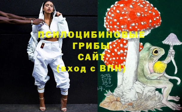 хмурый Аркадак