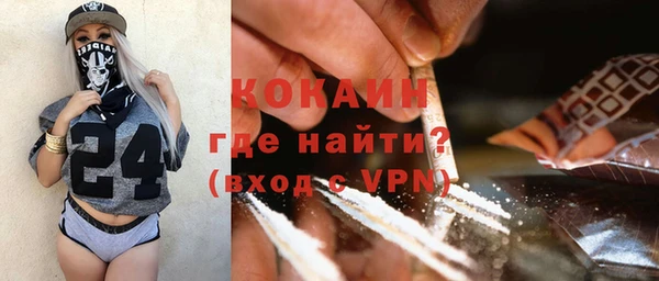 хмурый Аркадак