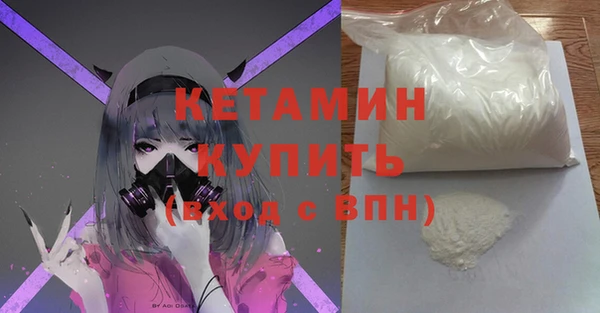 хмурый Аркадак