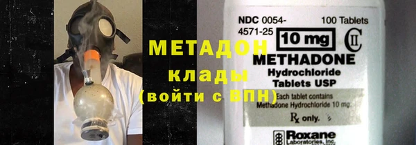 хмурый Аркадак
