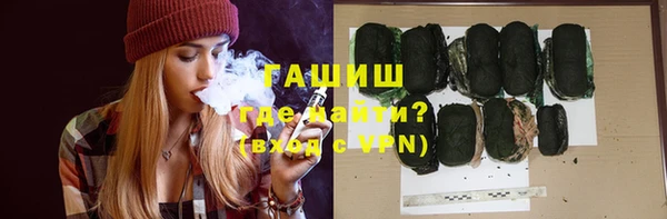 хмурый Аркадак