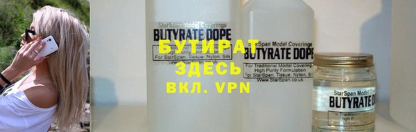 хмурый Аркадак