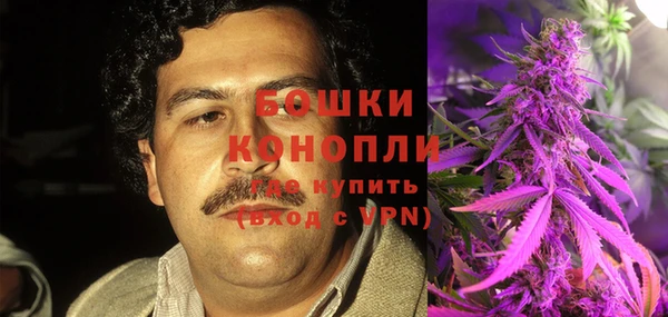 хмурый Аркадак