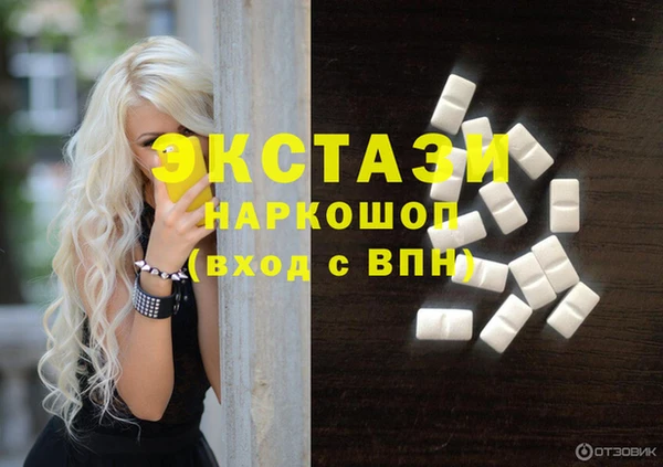 хмурый Аркадак
