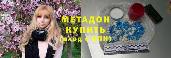хмурый Аркадак