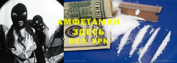 хмурый Аркадак